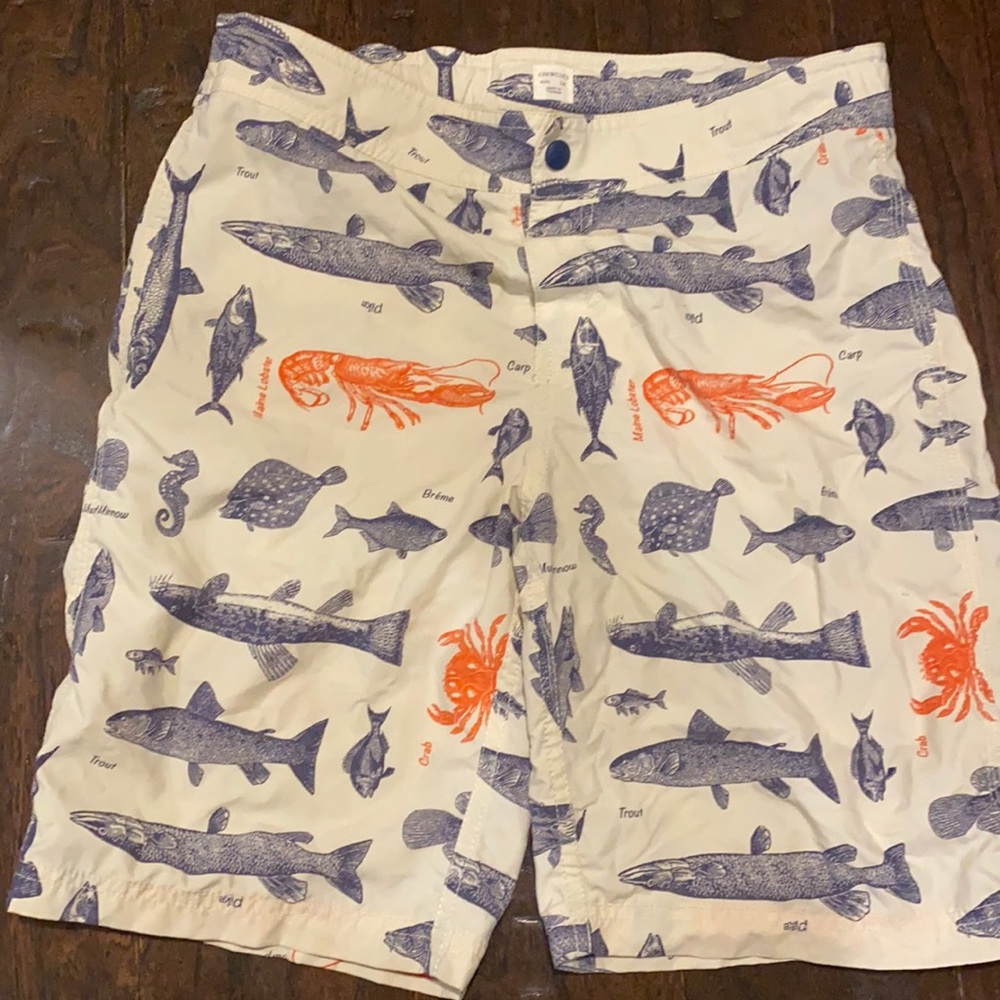 Boys crewcuts fish bathing suit 14